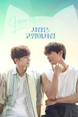 Assistir Love Is Like A Cat (Legendado) Online