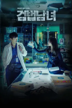 Assistir Partners For Justice (Legendado) Online